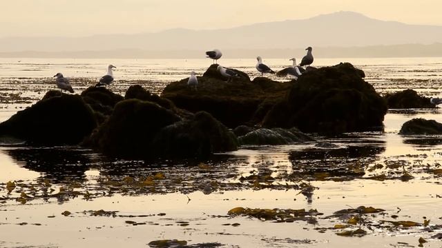 Загадочное исчезновение семьи Годар 🔎 смотреть онлайн