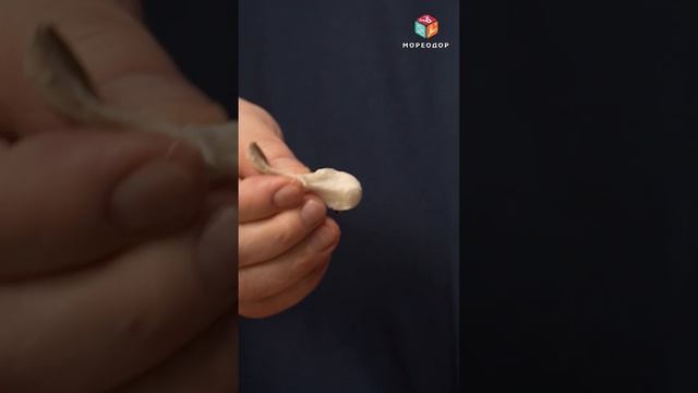 Как приготовить вкусный рыбный  суп с морепродуктами используя креветки и кальмар