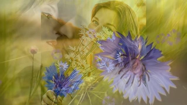 Васильковое лето смотреть онлайн