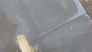 затирка заливка швов тротуара  цпс