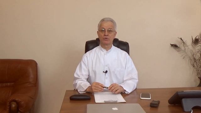 Самые полезные овощи в рационе собак, в каком виде и в каком количестве лучше всего их скармливать