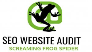 Screaming Frog SEO Spider 21.03+KeyGen