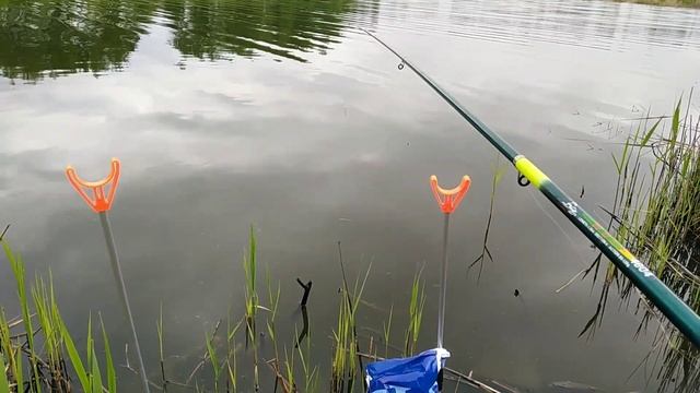 Рыбалка весной. Ловим карася на поплавок. смотреть онлайн