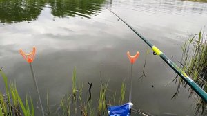 Рыбалка весной. Ловим карася на поплавок.