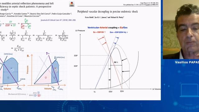 CARDIOVASCULAR MANAGEMENT IN SEPTIC SHOCK webinars ESICM 23