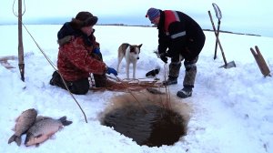 Ловля гигантского карася сетью в январе