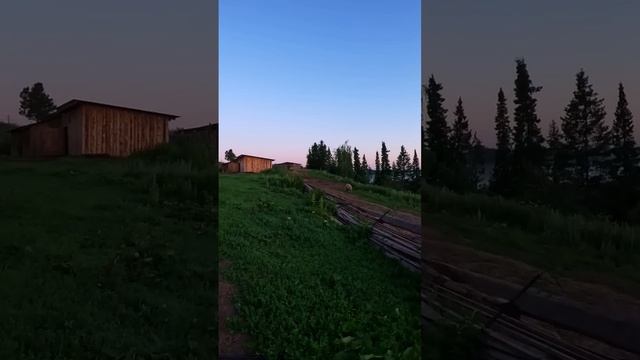 4:00 утра в деревне #деревня #жизньвдеревне#утро#сельскоехозяйство#будни