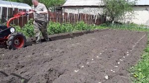 мотоблок агат посадка картофеля