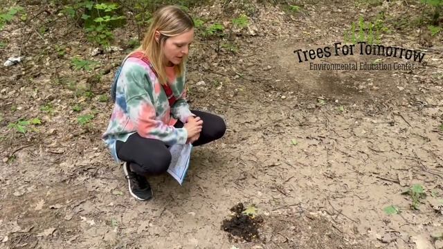 Snipe Lake Scat