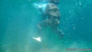 как не утонуть в забродных сапогах