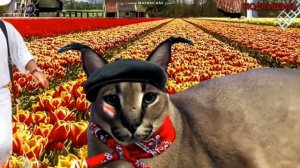 Шлёпа на разных языках мем