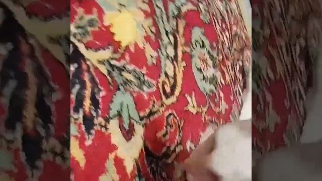 СЕМ и чипсы смотреть онлайн