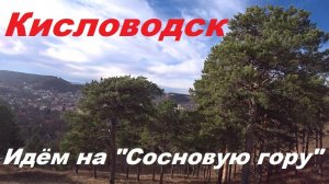 Тропа здоровья на "Сосновую гору" к "Чайному домику".