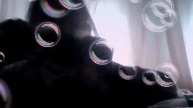 28 ноября 2019 г. смотреть онлайн