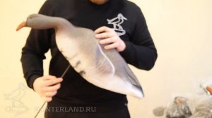 КОМПЛЕКТ ЧУЧЕЛ БЕЛОЛОБОГО ГУСЯ, "NORTHWAY", СУПЕР XPE МТ, 12 ШТУК, СТОЙКА