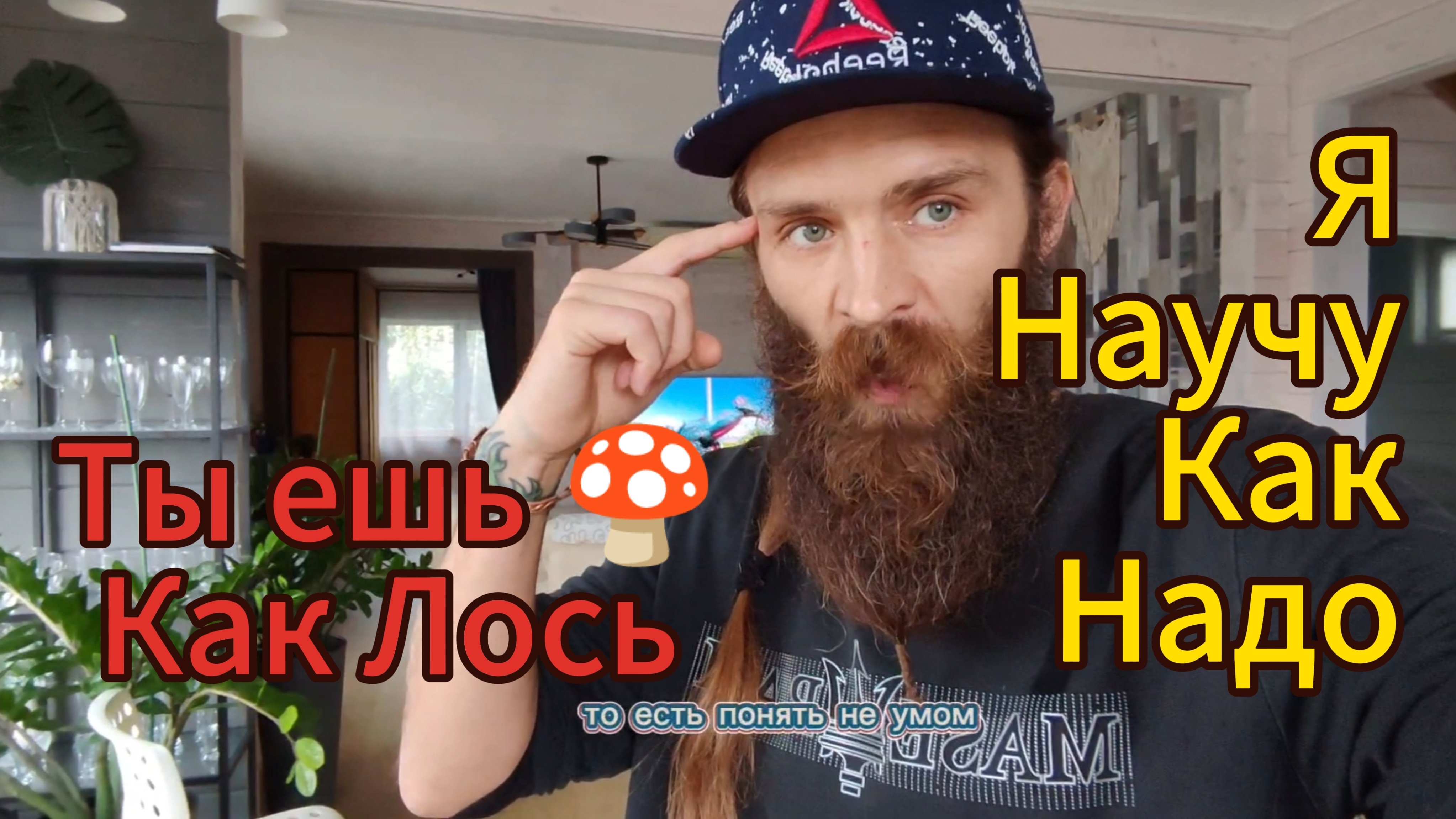 Смысл погружений в гипноз с 🍄