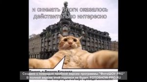 История жизни Джонни Кэтсвилла