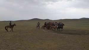 Узбекистан. Купкари