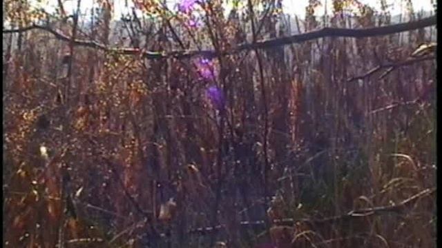 (ретро)_ФИЛЬМ. Последний день осени