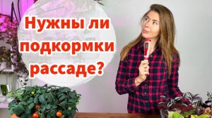 Чем подкармливать рассаду безопасно?! Засоление грунта минеральными удобрениями