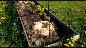 Полив и подкормка винограда БЫСТРО и НАДЁЖНО