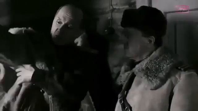 ШАКАЛЫ