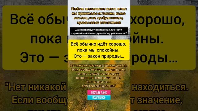 Цитаты из книг #психология #цитаты #книги #радость #любовь #цитатыизкниг #здоровье #жизнь #нлп