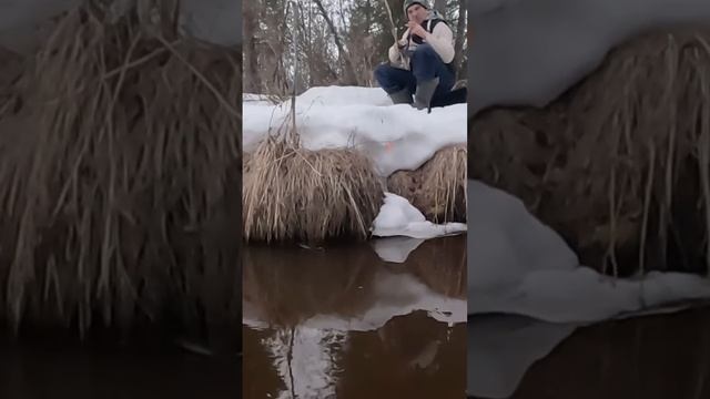 Рыбалка .ХМАО. #клев #fishing #рыбалка #река #озеро #дикие #обь #хищник #иртыш #лес #shorts