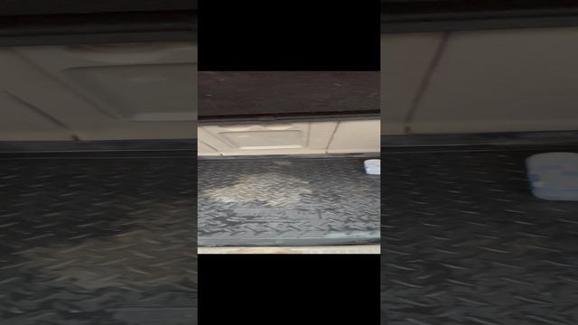 18-01-2025 смотреть онлайн