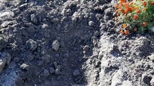 3 10 2024 г как лучше перекопать землю осенью