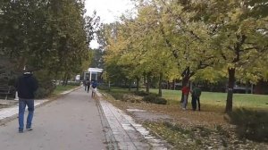Чуть об университете в Нови Саде=)