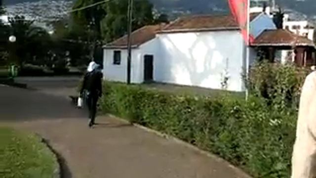 Мадейра 2008 год 1 часть смотреть онлайн