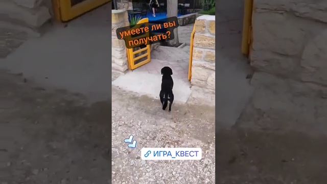 Игра квест на канале Путь Искателя https://t.me/PathOfSeeker