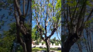 #прогулка по #Кемеру,  от центральной улицы к пляжу.  май 2024