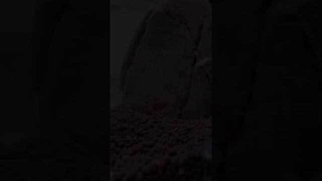 Смотрите что засняла А у Вас есть видео или фото Ваших танцующих рыбок? смотреть онлайн