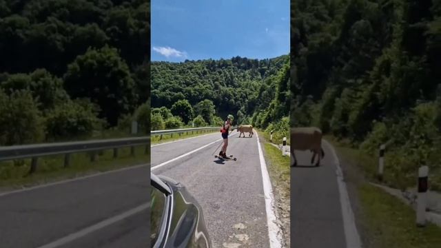 в Архыз можно со мной! поехали Чемпионы #коньковыйход #кемп #горы #поход смотреть онлайн