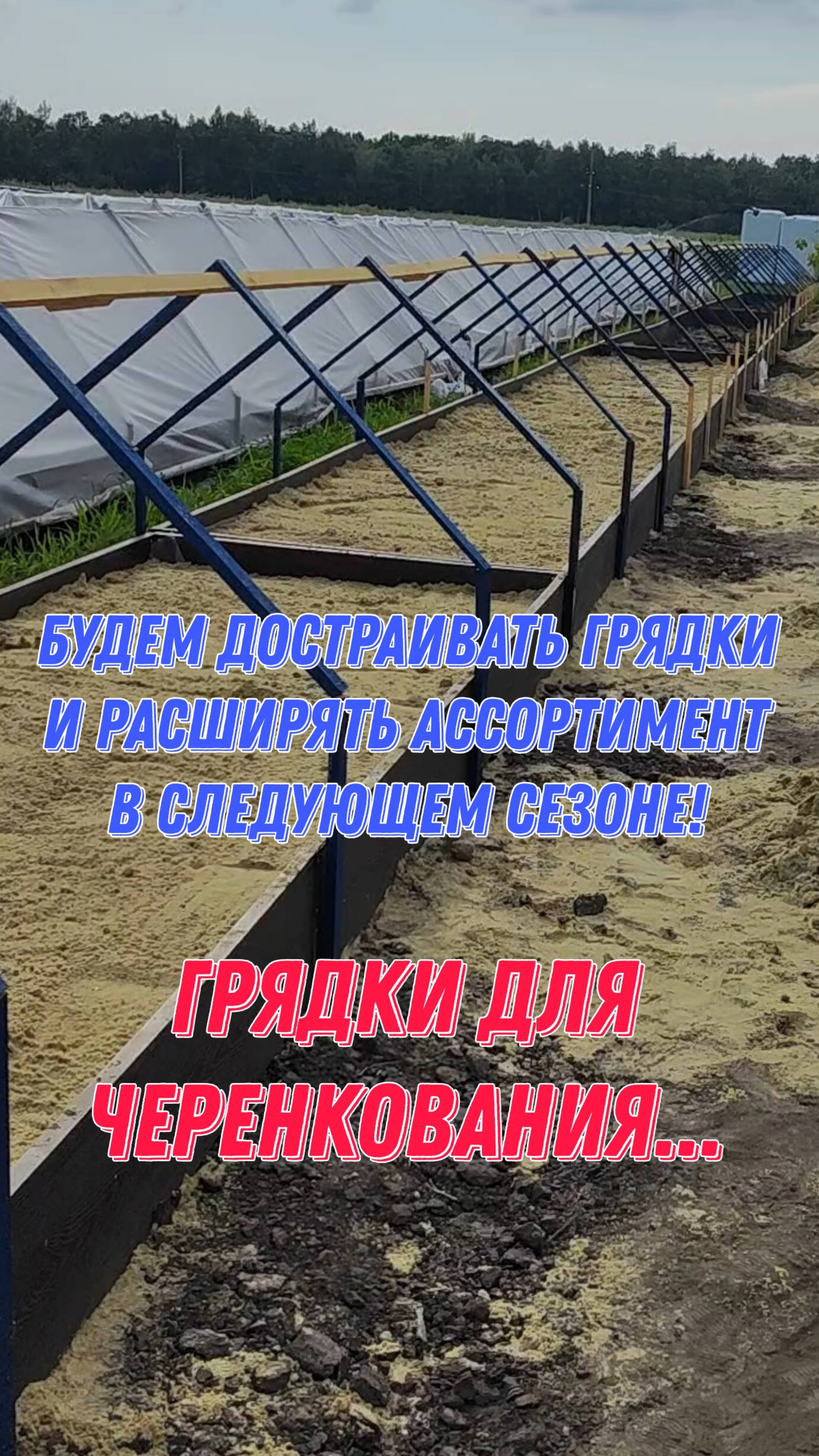Будем достраивать грядки и расширять ассортимент в следующем сезоне! Грядки для черенкования... смотреть онлайн