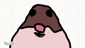 МИША МИША ПРИВЕТ