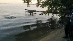 Ловим Тилапию на охладителе АЭС, полная версия.