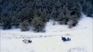 Видеовизитка на "Химки-2021". Маргарита Чекунова, г.Тюмень