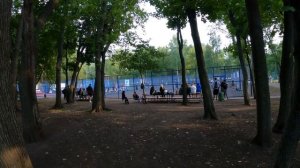 Фестиваль, выходные