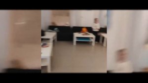 Кошачья вечеринка