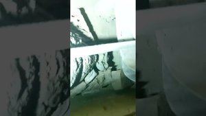 10 августа 2022 г.