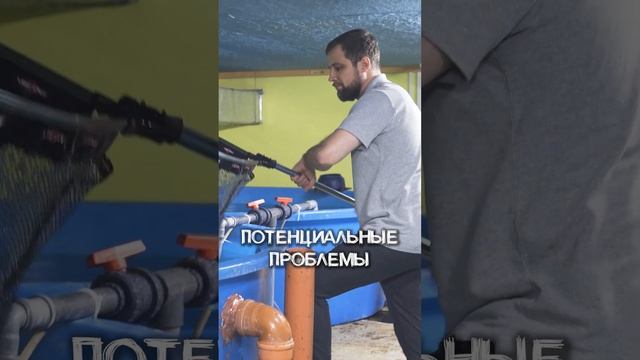 Сплошная ПРОБЛЕМА ЗА КУЧУ ДЕНЕГ?