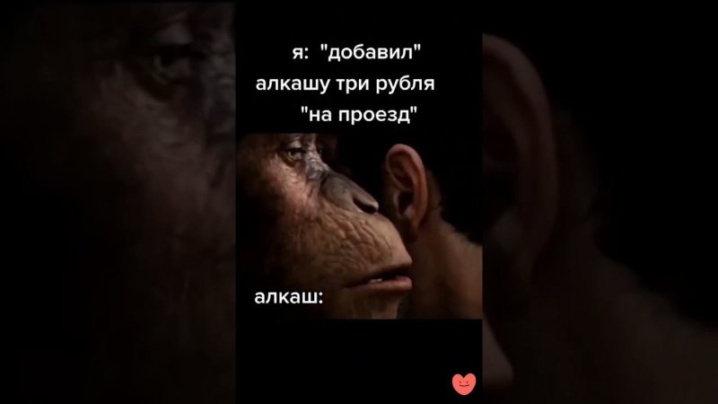 рил стори#tiktok #рекомендации #shorts