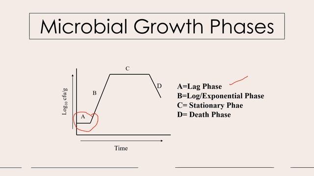 Food Microbiology ( Part  -1) || GATE Exam Preparation and CFSO & TO, ASRB NET, Food Analyst, CFTRI