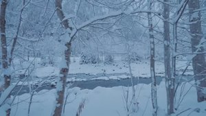 Расслабляющая зимняя прогулка по снегопаду в Швейцарии, от реки Вайсе Лучине до Штехельберга