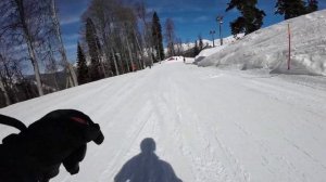 Роза Хутор. Полный спуск по Обер-хутору. Середина дня. 12.03.2024