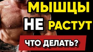 Как Набрать Мышечную Массу? 4 ГЛАВНЫХ ФАКТОРА