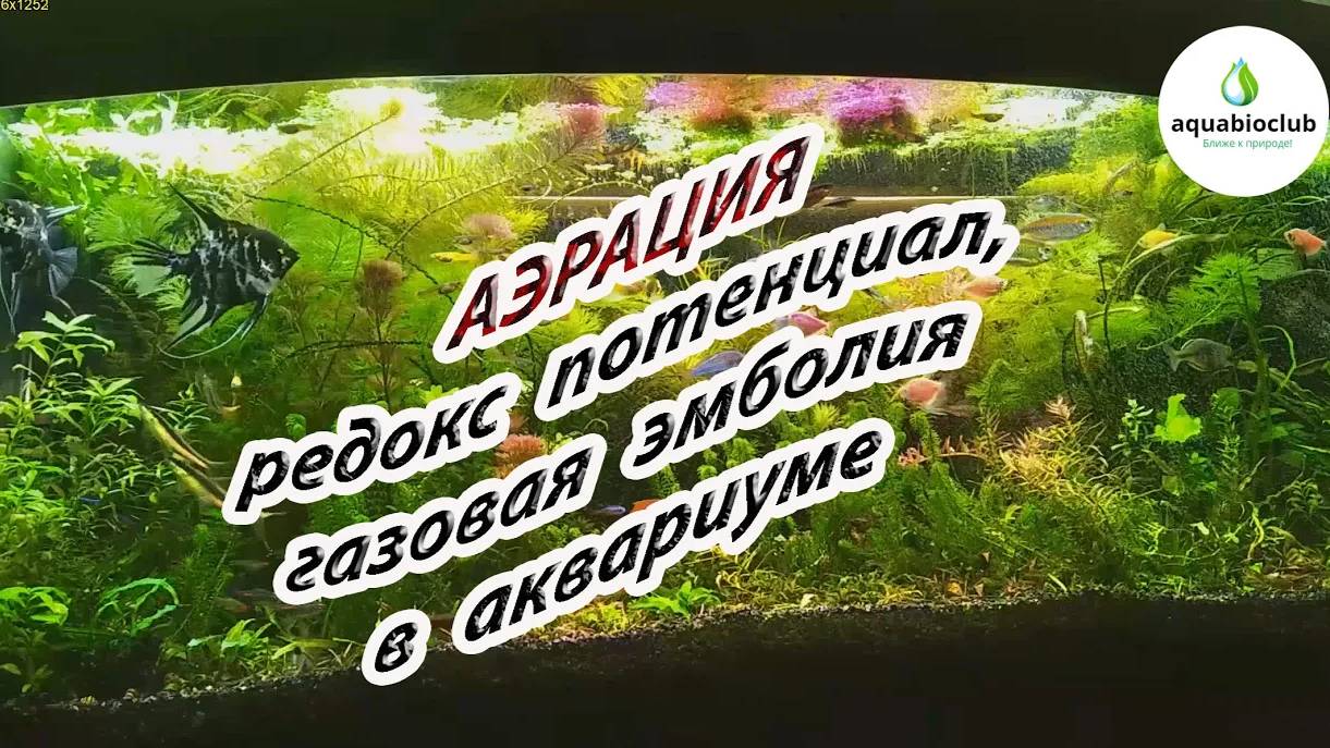 Аэрация, Редокс потенциал в аквариуме.